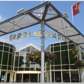 Koperwiek